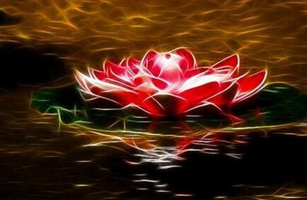 佛弟子应如何看待八字与风水