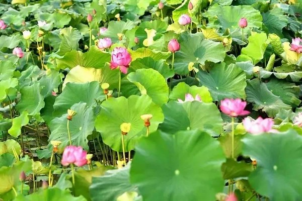 当心碰到外尘时，才是真正修行的开始