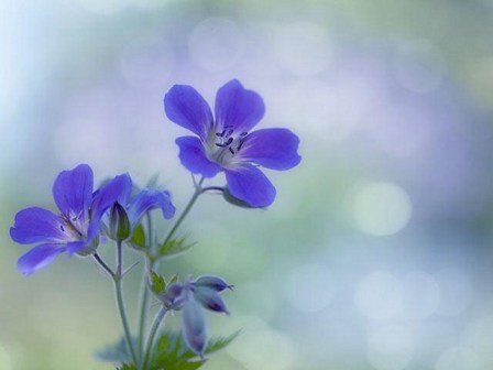 现代生活工作十则