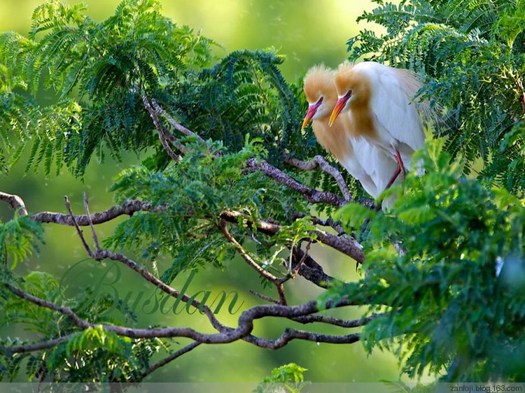 把有限转化成无限的，才能使我们的生命满足