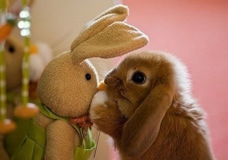 有时解释，反而会增添烦恼