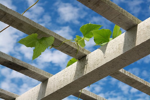 堵车时最不该做的事
