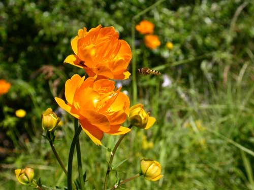 爱的利息：从90元到500万