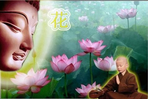 世智辩聪与般若智慧