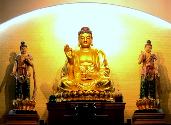 如何当好一个佛教徒医生