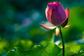 四季中的饮食养生