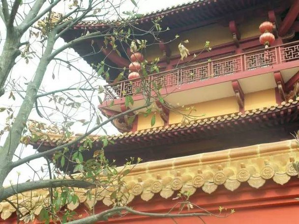 云何说诸法如幻