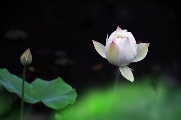 念念贪嗔痴，还有功德和护法神吗