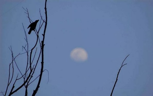 憨山大师：八识规矩通说