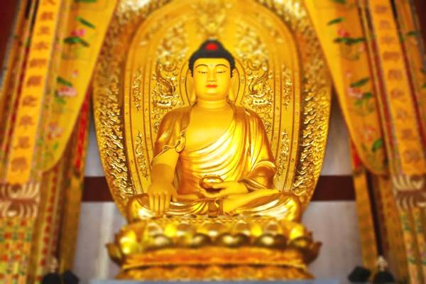 菩提心是一切诸佛成佛之种子