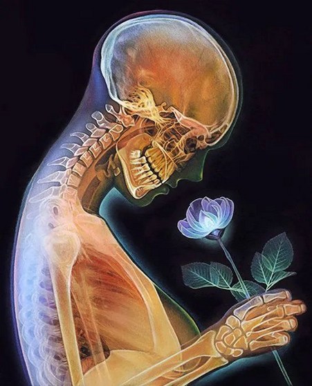 拖尸人的惭愧与忏悔