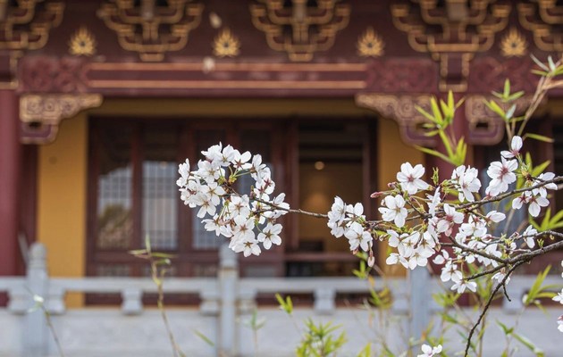 《药师宝忏》所说的十六种病与十三种药